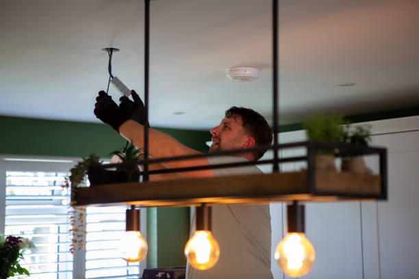 Best Electric Panel Repair  in Lexington, TX
